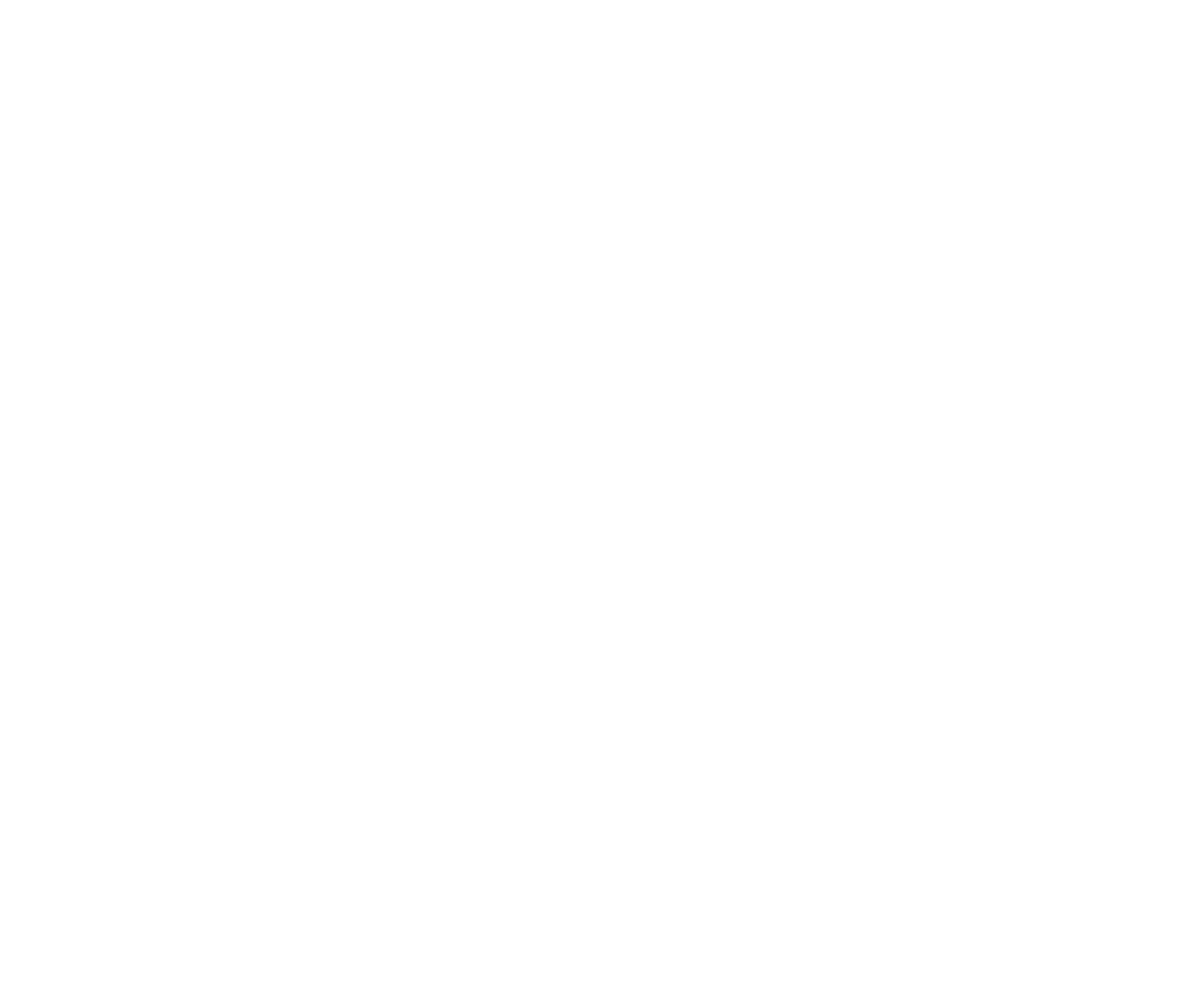 bart van nes logo